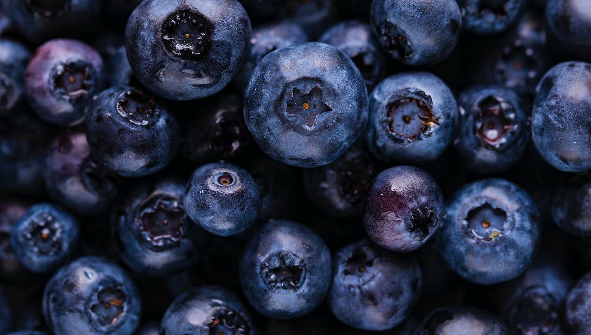 Blueberries_Banner