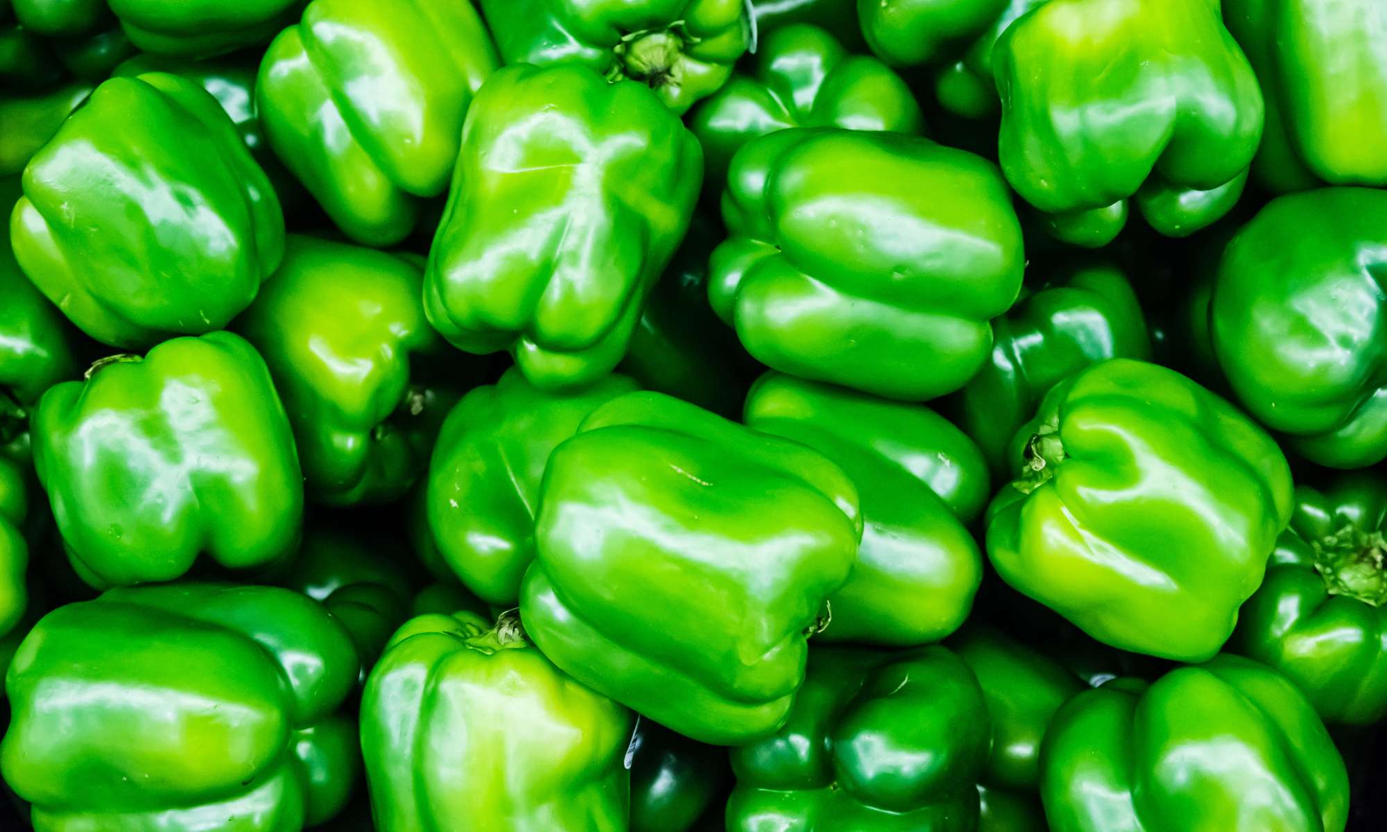 GreenPeppers_Banner