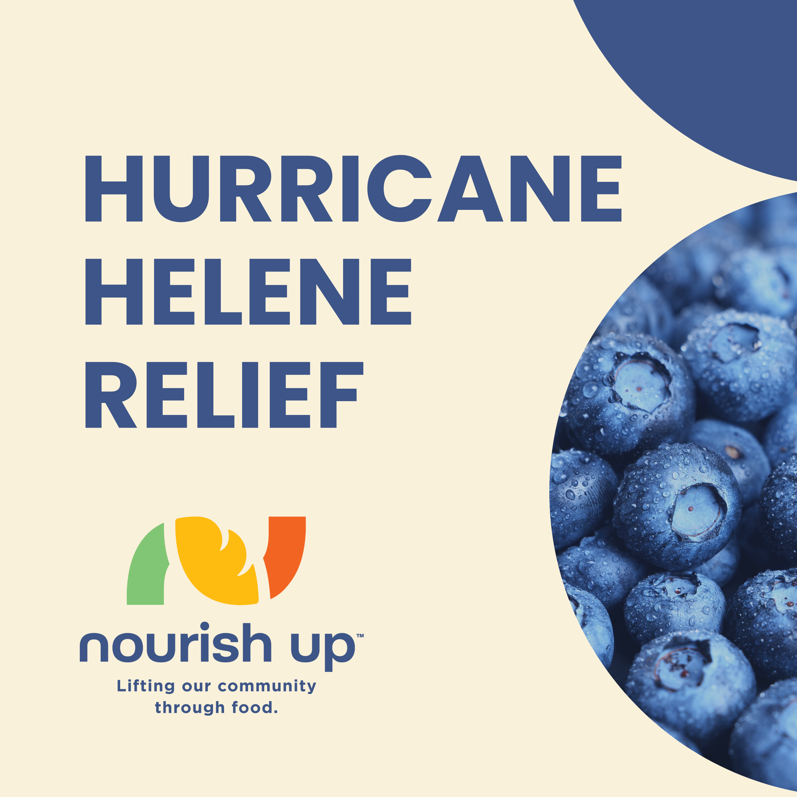 Hurricane helene Relief